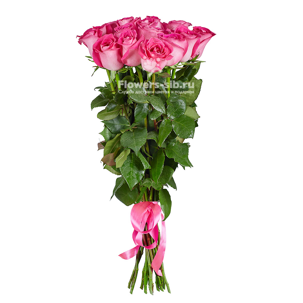 Premium Pink roses